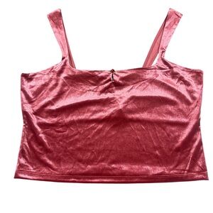 Wild Fable Metallic Pink Crop Top